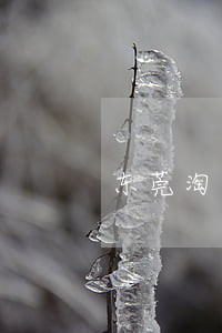 东莞淘宝司法拍卖房产网 东莞淘宝司法拍卖房产网