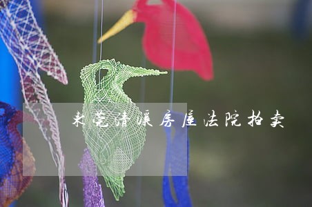 东莞清溪房屋法院拍卖