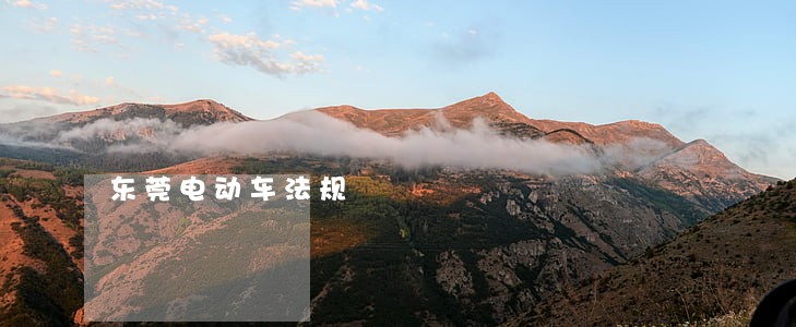 东莞电动车法规