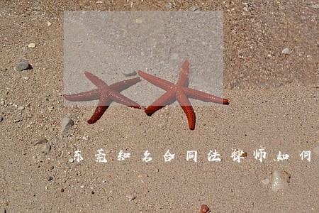 东莞知名合同法律师如何收费 东莞知名合同法律师如何收费