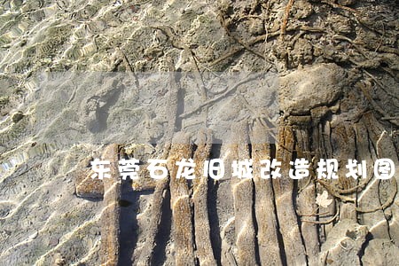 东莞石龙旧城改造规划图