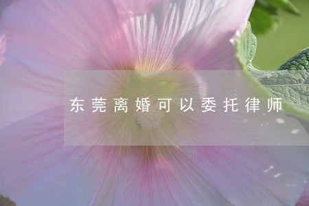 东莞离婚可以委托律师 东莞离婚可以委托律师