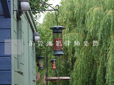 东莞离婚律师免费 东莞离婚律师免费
