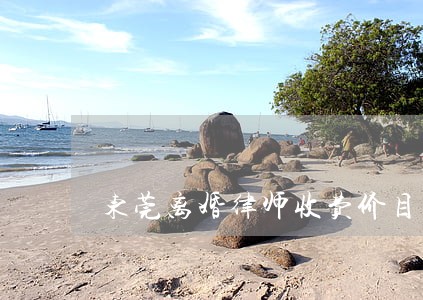 东莞离婚律师收费价目表 东莞离婚律师收费价目表