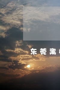 东莞离婚抚养权律师在线 东莞离婚抚养权律师在线