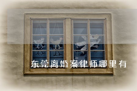 东莞离婚案律师哪里有 东莞离婚案律师哪里有