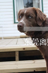 东莞离婚案律师如何收费呢 东莞离婚案律师如何收费呢