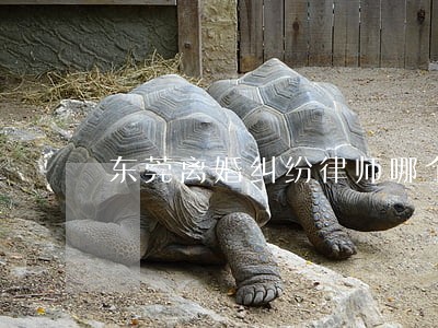 东莞离婚纠纷律师哪个好 东莞离婚纠纷律师哪个好