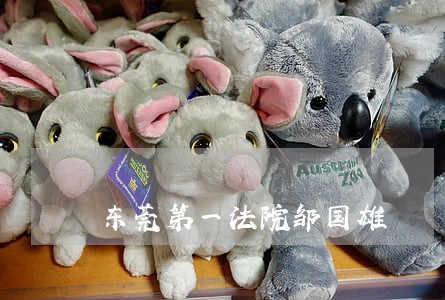 东莞第一法院邹国雄