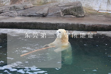 东莞第二看守所地址 东莞第二看守所地址