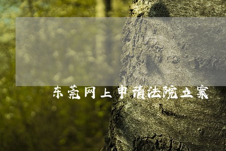 东莞网上申请法院立案 东莞网上申请法院立案