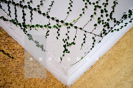 东莞网贷逾期律师 东莞网贷逾期律师