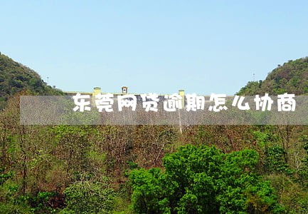 东莞网贷逾期怎么协商 东莞网贷逾期怎么协商