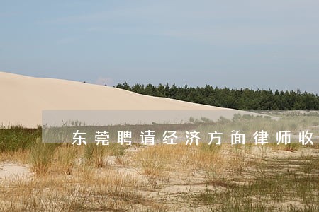 东莞聘请经济方面律师收费标准 东莞聘请经济方面律师收费标准