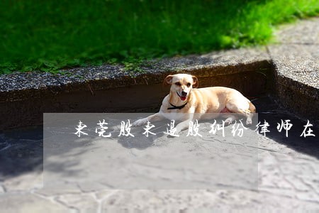 东莞股东退股纠纷律师在线咨询