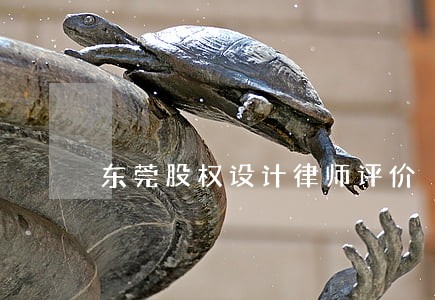 东莞股权设计律师评价 东莞股权设计律师评价