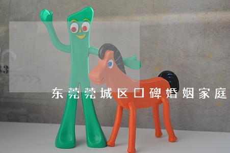 东莞莞城区口碑婚姻家庭律师 东莞莞城区口碑婚姻家庭律师