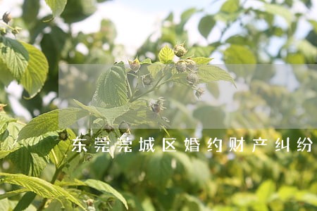 东莞莞城区婚约财产纠纷律师代理