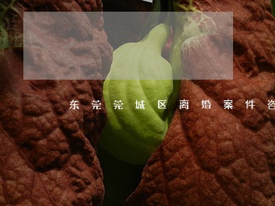 东莞莞城区离婚案件咨询律师代理 东莞莞城区离婚案件咨询律师代理