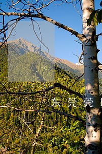 东莞莞城区离婚财产争议律师咨询 东莞莞城区离婚财产争议律师咨询