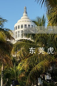 东莞虎门劳动局电话号码 东莞虎门劳动局电话号码