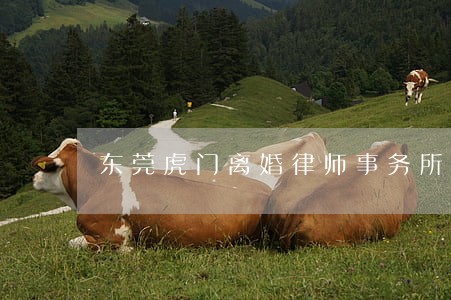 东莞虎门离婚律师事务所 东莞虎门离婚律师事务所