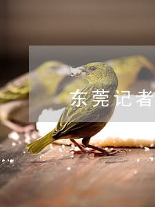 东莞记者免费帮忙热线 东莞记者免费帮忙热线