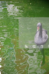 东莞诈骗官司律师推荐 东莞诈骗官司律师推荐