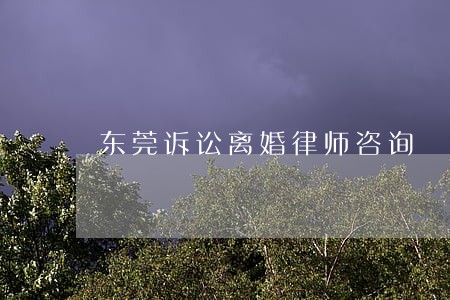 东莞诉讼离婚律师咨询 东莞诉讼离婚律师咨询