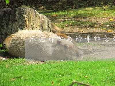 东莞诉讼离婚律师怎么收费 东莞诉讼离婚律师怎么收费