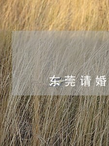 东莞请婚房纠纷律师免费法律咨询 东莞请婚房纠纷律师免费法律咨询