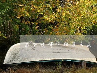 东莞请律师联系方式 东莞请律师联系方式
