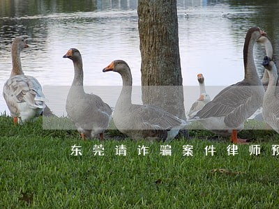 东莞请诈骗案件律师预约咨询 东莞请诈骗案件律师预约咨询