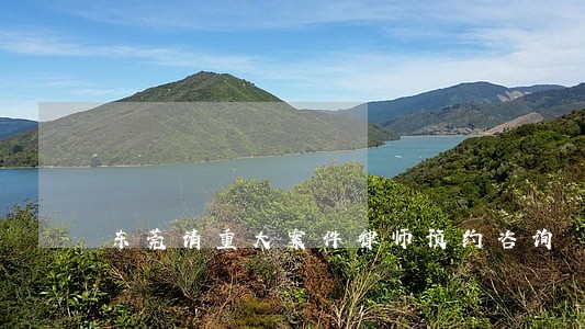 东莞请重大案件律师预约咨询 东莞请重大案件律师预约咨询