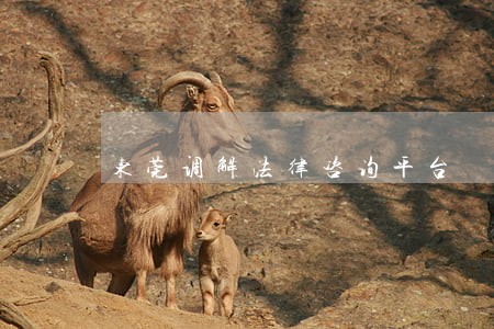 东莞调解法律咨询平台 东莞调解法律咨询平台