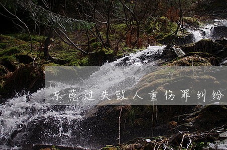 东莞过失致人重伤罪纠纷律师 东莞过失致人重伤罪纠纷律师