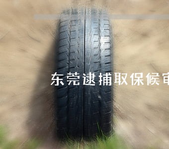 东莞逮捕取保候审律师多少钱 东莞逮捕取保候审律师多少钱