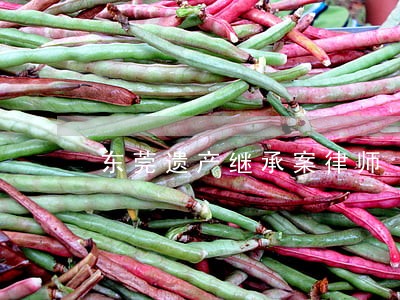 东莞遗产继承案律师 东莞遗产继承案律师