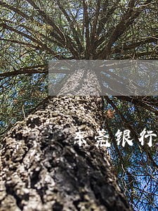 东莞银行房贷逾期 东莞银行房贷逾期