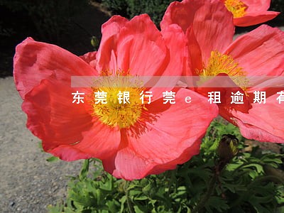 东莞银行莞e租逾期有影响吗 东莞银行莞e租逾期有影响吗