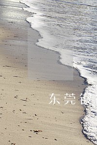 东莞银行还款逾期几天会上报征信 东莞银行还款逾期几天会上报征信