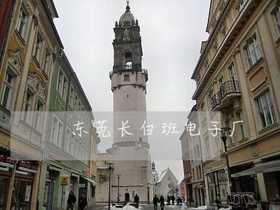 东莞长白班电子厂 东莞长白班电子厂