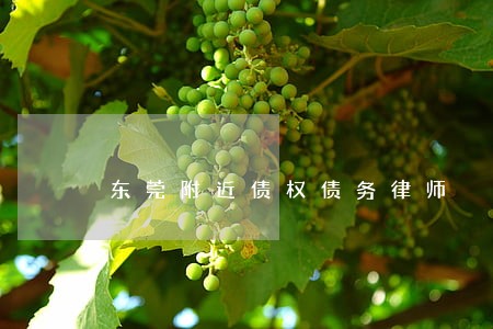 东莞附近债权债务律师 东莞附近债权债务律师