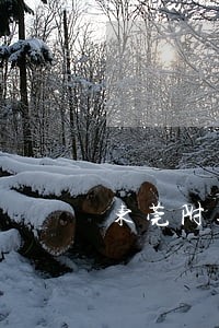 东莞附近债权转让律师电话多少 东莞附近债权转让律师电话多少