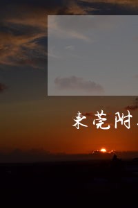 东莞附近婚姻律师哪家好 东莞附近婚姻律师哪家好