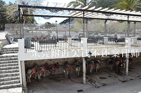 东莞附近欠钱不还案律师排行 东莞附近欠钱不还案律师排行
