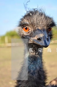 东莞高埗法律援助在哪里 东莞高埗法律援助在哪里