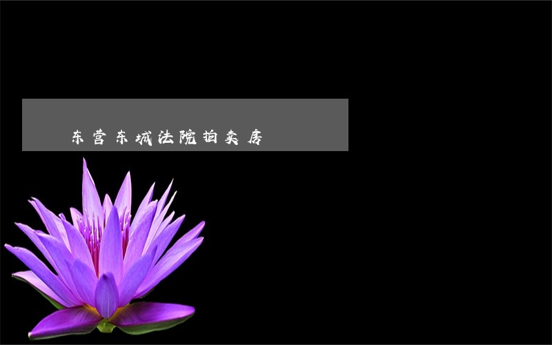东营东城法院拍卖房