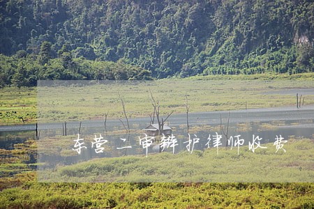 东营二审辩护律师收费