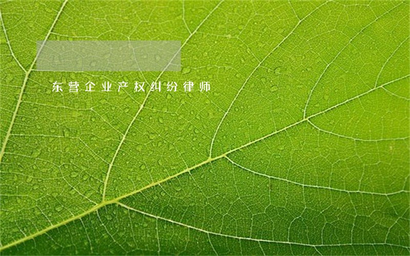 东营企业产权纠纷律师